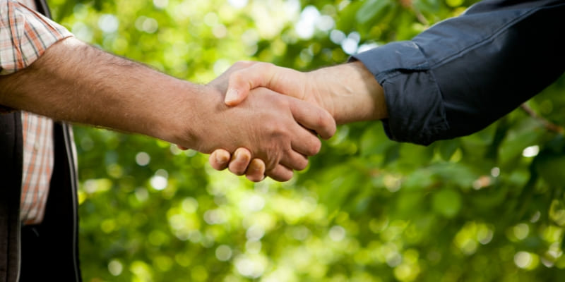 Cessione di cubatura: guida completa